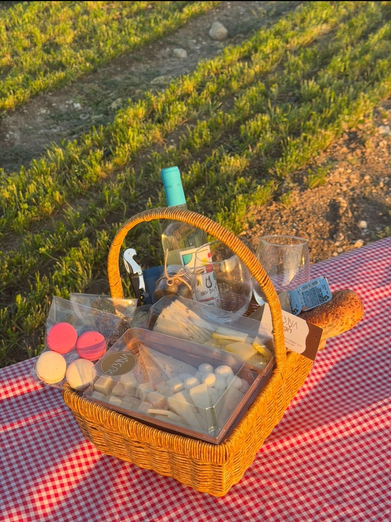סלסלת פיקניק עם גבינות, יין ומקרונים בשדה